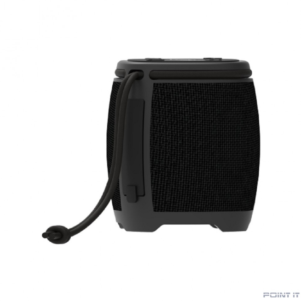 RITMIX SP-310B black